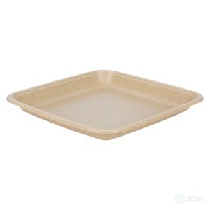 Compostable Wheat Straw Fibre 8" Square Plate 200 x 200 x H10 mm