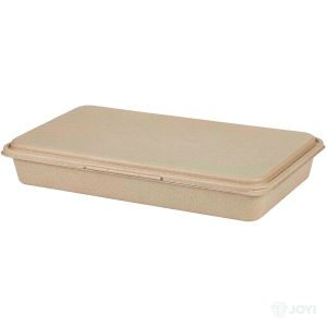 Compostable Wheat Straw Fibre 8" Large Meal Box 430 x 200 x H39 mm