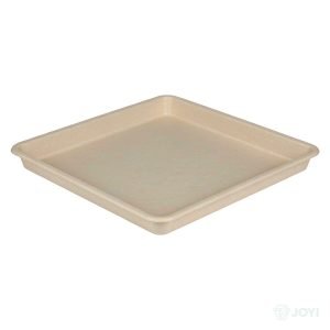 Compostable Wheat Straw Fibre 8" Cake Tray 247 x 247 x H7 mm
