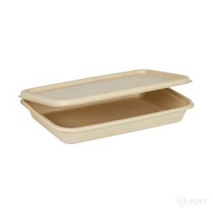 Compostable Plant Fibre Shallow Box
