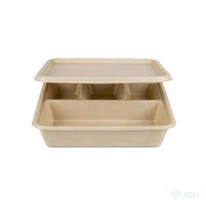 Compostable Plant Fibre 9" 3-Compartment Meal Box