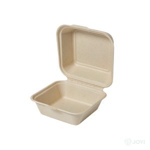 Compostable Plant Fibre 8" Meal Box