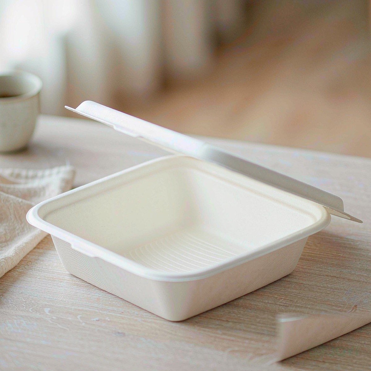 Compostable Plant Fibre 8" Meal Box 203 x 203 x H63 mm