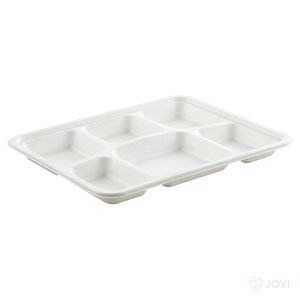 Compostable Plant Fibre 5-Compartment Plate