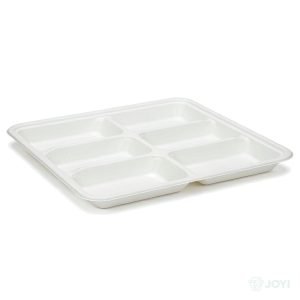 Compostable Plant Fibre 6-Compartment Plate