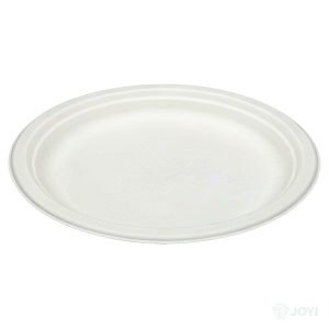 Compostable Plant Fibre 10" Plate