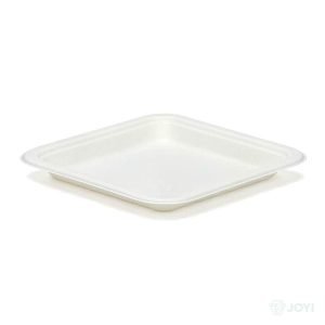 Compostable Plant Fibre 8" Plate
