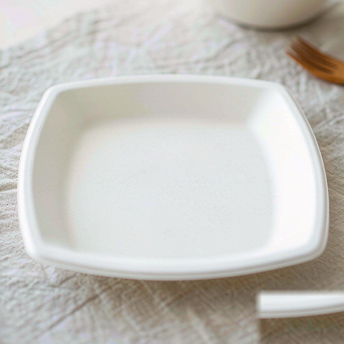 Compostable Plant Fibre 10" Plate 260 x 260 x H16 mm