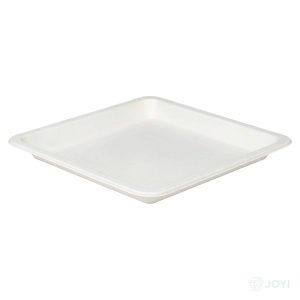 Compostable Plant Fibre 10" Plate 260 x 260 x H16 mm