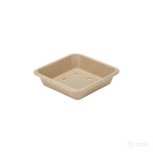 Compostable Plant Fibre Produce Tray