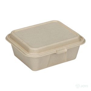 Compostable Plant Fibre 9" Hinged Food Box 235 x 237 x H77 mm