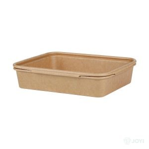 Compostable Plant Fibre Hinged Food Box 205 x 202 x H49 mm
