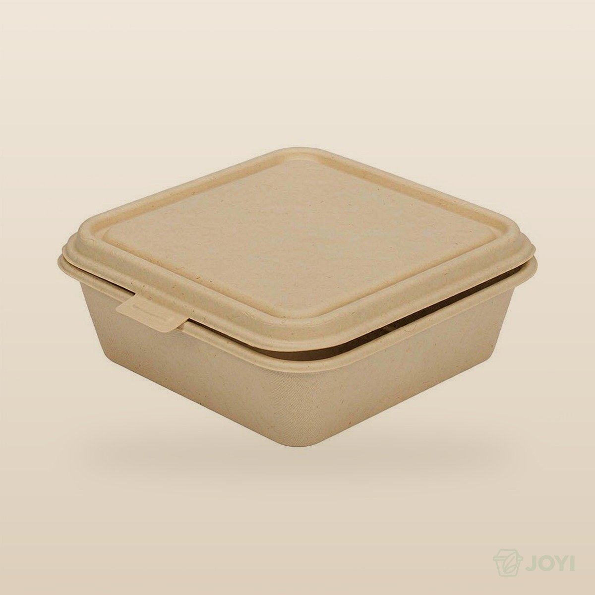 Compostable Plant Fibre 9" Hinged Food Box 228 x 232 x H50 mm