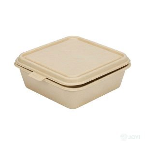 Compostable Plant Fibre 9" Hinged Food Box 228 x 232 x H50 mm