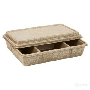 Compostable Plant Fibre 9" 3-Compartment Hinged Food Box 228 x 232 x H50 mm
