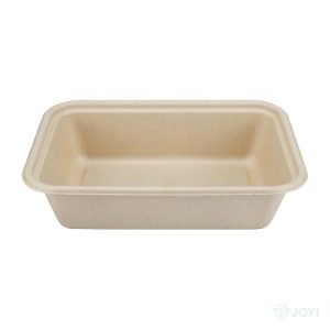 Compostable Bagasse 1000ml Food Container 215 x 140 x H55 mm