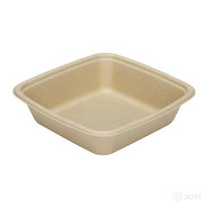 Compostable Bagasse 1000ml Bowl 215 x 215 x H60 mm