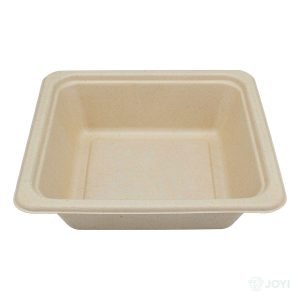 Compostable Bagasse 680 Flat Rim Bowl 190 x 190 x H41 mm