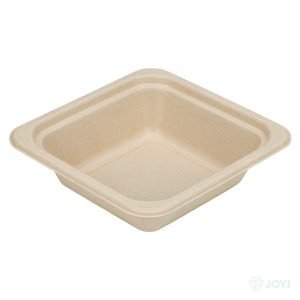 Compostable Bagasse 440 Flat Rim Bowl 161 x 161 x H35 mm