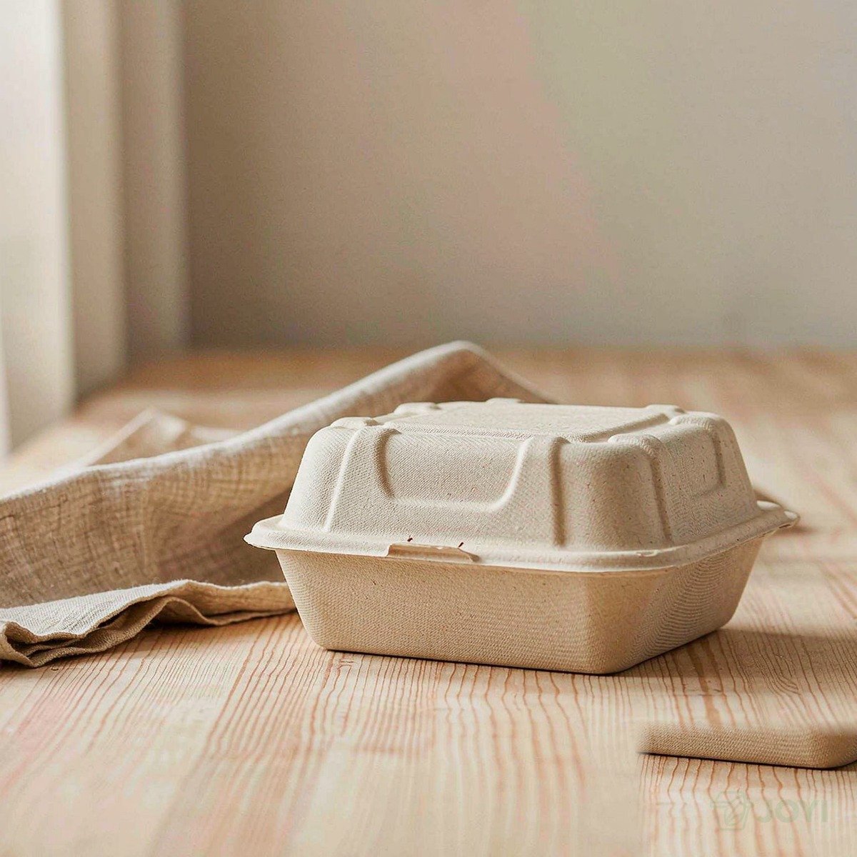 Compostable Bagasse 9" x 6" Food Box 245 x 165 x H78 mm