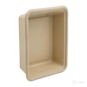 Compostable Bagasse 9" x 6" Food Box 245 x 165 x H78 mm