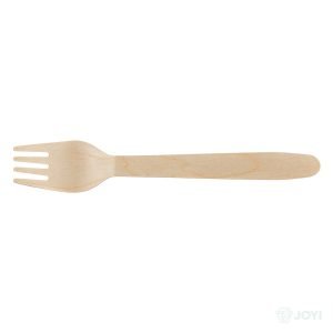 Compostable Bagasse Fork 169 x 28 mm