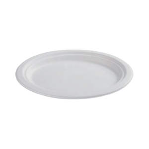Compostable Bagasse Large Oval Plate