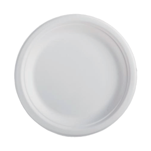Compostable Bagasse 6" Plate