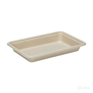Compostable Bagasse 500ml Food Container 195 x 115 x H35 mm