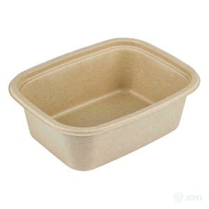 Compostable Bagasse 700ml Food Container 195 x 115 x H50 mm