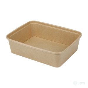 Compostable Bagasse 850ml Food Container 220 x 170 x H40 mm